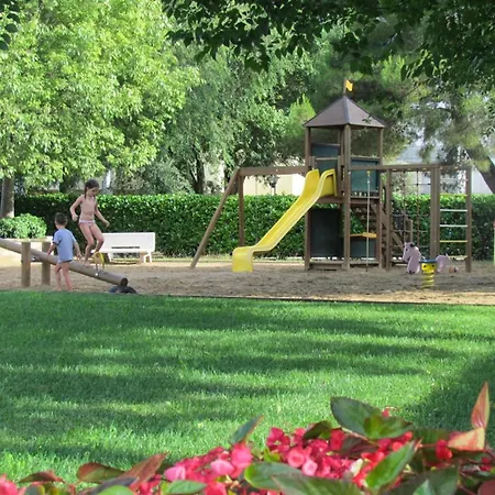 In A Modern * 비비오네